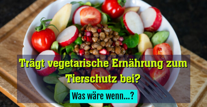 Was wäre wenn...?