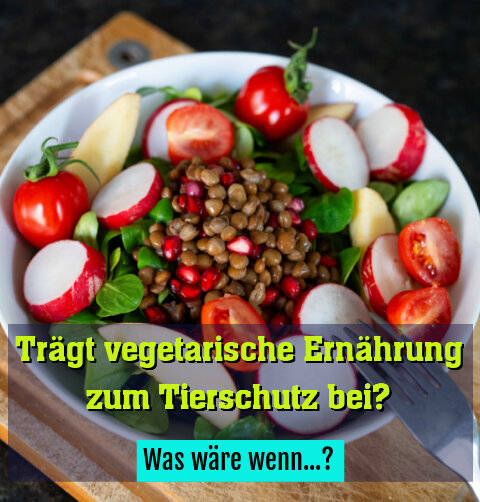 Was wäre wenn...?