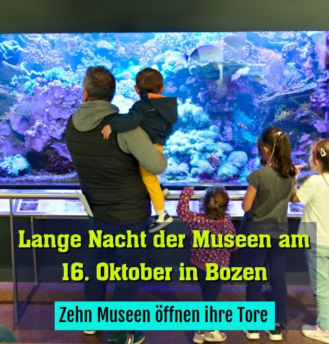 Zehn Museen öffnen ihre Tore