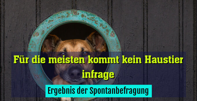 Ergebnis der Spontanbefragung