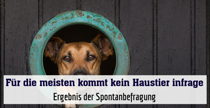Ergebnis der Spontanbefragung