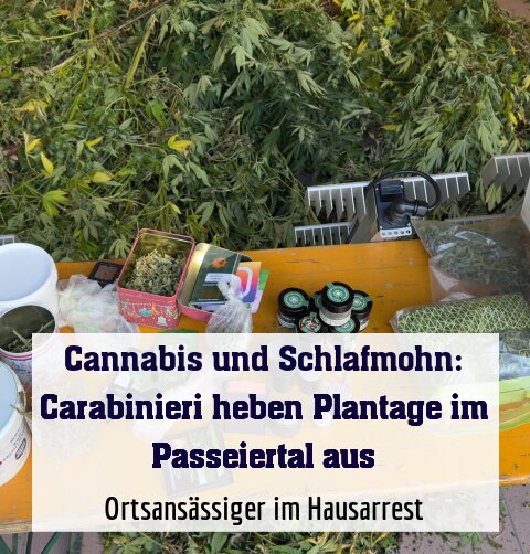 Ortsansässiger im Hausarrest