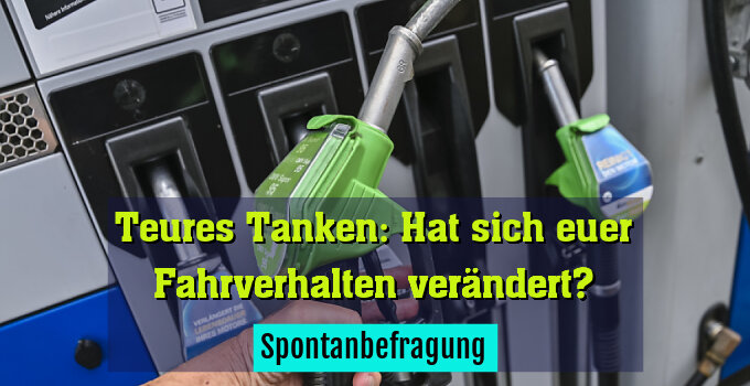 Spontanbefragung