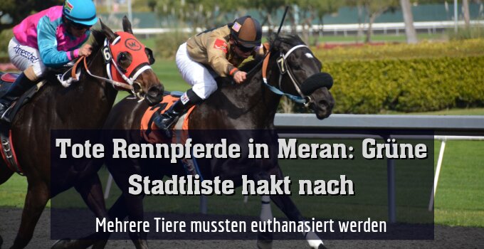 Mehrere Tiere mussten euthanasiert werden