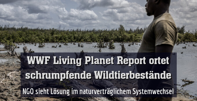 NGO sieht Lösung im naturverträglichem Systemwechsel
