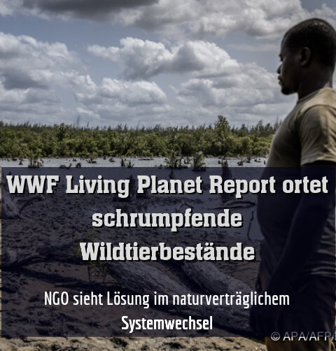 NGO sieht Lösung im naturverträglichem Systemwechsel