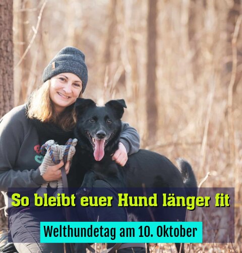 Welthundetag am 10. Oktober
