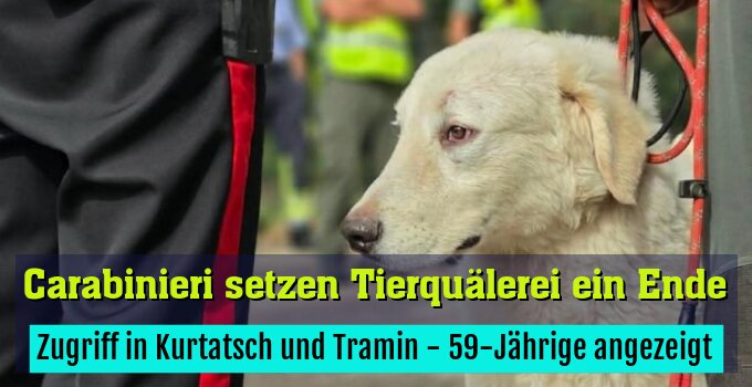 Zugriff in Kurtatsch und Tramin - 59-Jährige angezeigt
