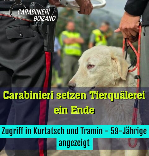 Zugriff in Kurtatsch und Tramin - 59-Jährige angezeigt