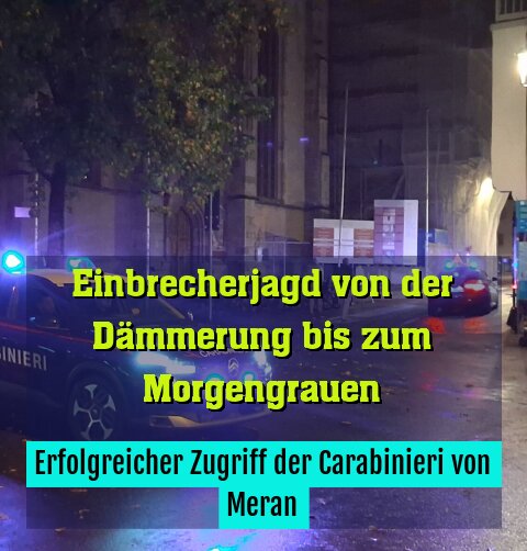 Erfolgreicher Zugriff der Carabinieri von Meran
