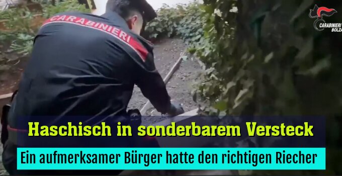 Ein aufmerksamer Bürger hatte den richtigen Riecher 