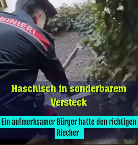 Ein aufmerksamer Bürger hatte den richtigen Riecher 