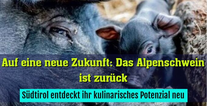 Südtirol entdeckt ihr kulinarisches Potenzial neu