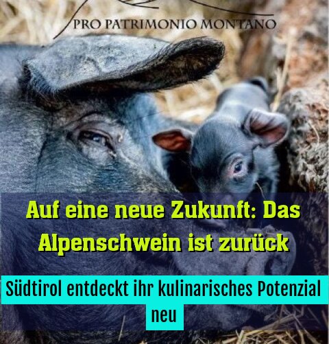 Südtirol entdeckt ihr kulinarisches Potenzial neu