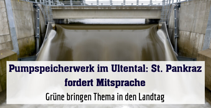Grüne bringen Thema in den Landtag