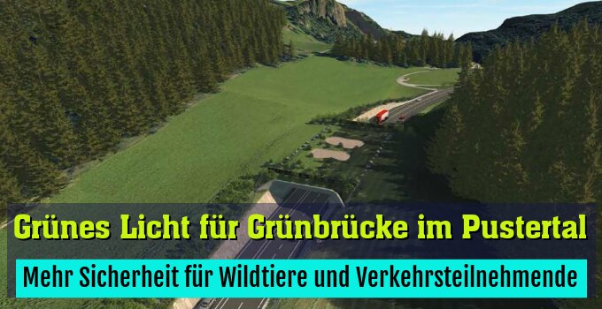 Mehr Sicherheit für Wildtiere und Verkehrsteilnehmende
