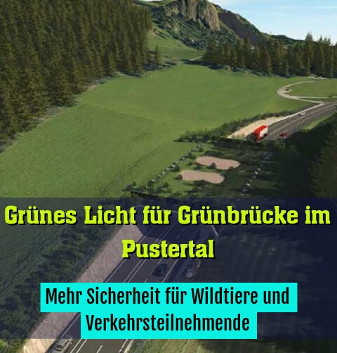 Mehr Sicherheit für Wildtiere und Verkehrsteilnehmende