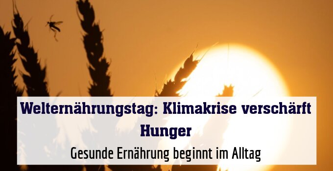 Gesunde Ernährung beginnt im Alltag