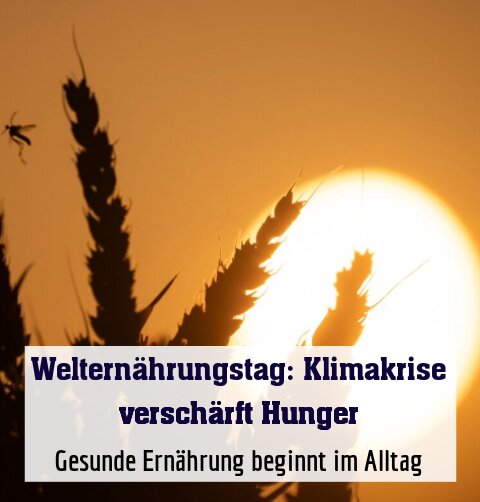 Gesunde Ernährung beginnt im Alltag