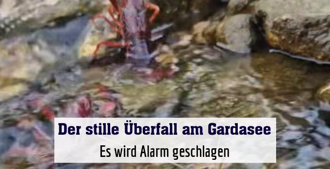 Es wird Alarm geschlagen