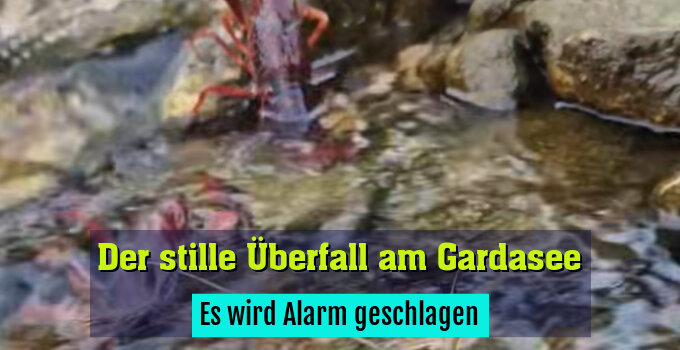 Es wird Alarm geschlagen