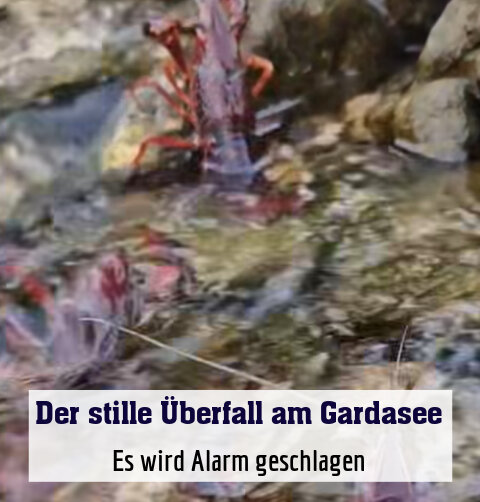 Es wird Alarm geschlagen