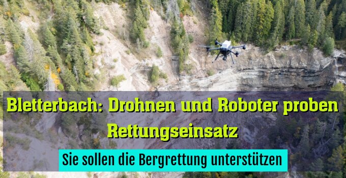 Sie sollen die Bergrettung unterstützen