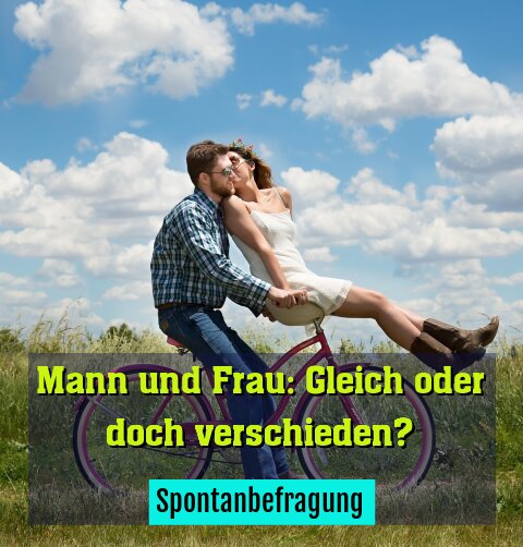 Spontanbefragung