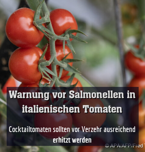 Cocktailtomaten sollten vor Verzehr ausreichend erhitzt werden