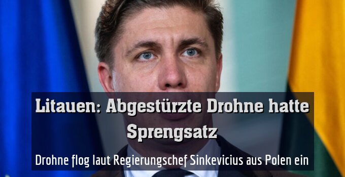 Drohne flog laut Regierungschef Sinkevicius aus Polen ein