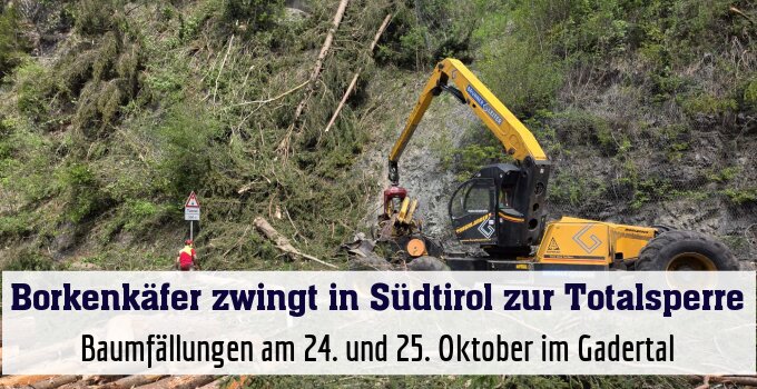 Baumfällungen am 24. und 25. Oktober im Gadertal