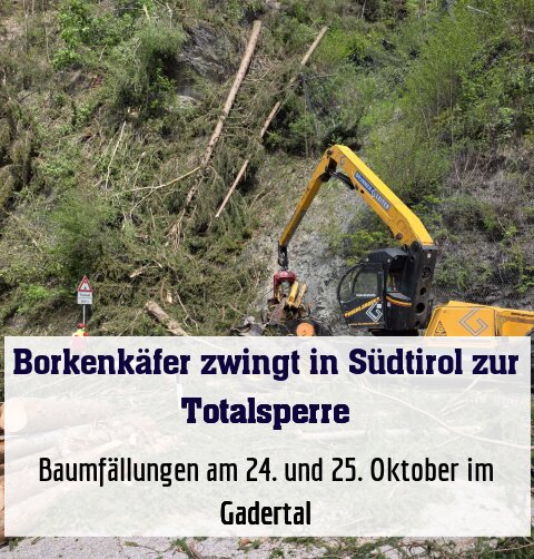 Baumfällungen am 24. und 25. Oktober im Gadertal
