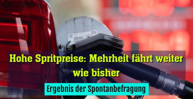 Ergebnis der Spontanbefragung