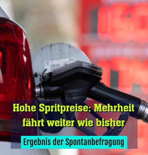 Ergebnis der Spontanbefragung