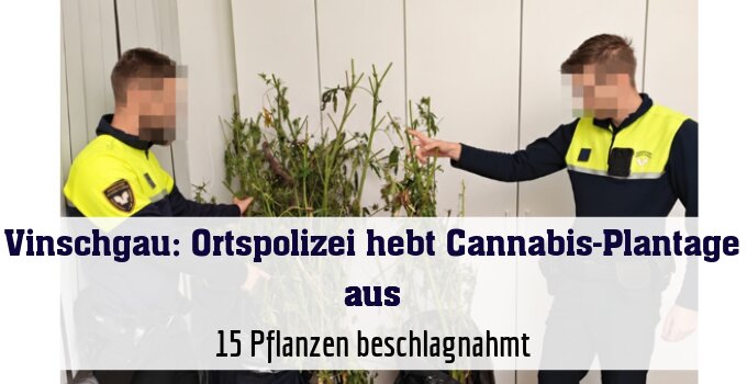 15 Pflanzen beschlagnahmt