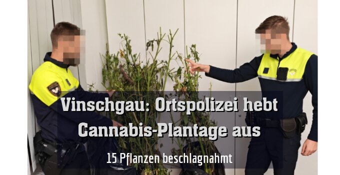 15 Pflanzen beschlagnahmt