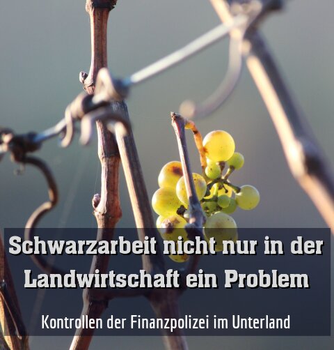 Kontrollen der Finanzpolizei im Unterland