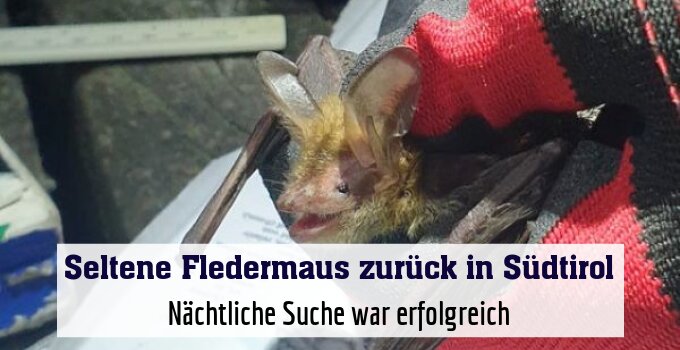Nächtliche Suche war erfolgreich