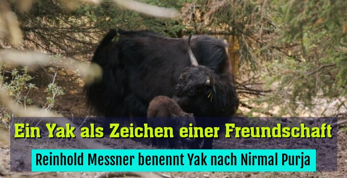 Reinhold Messner benennt Yak nach Nirmal Purja