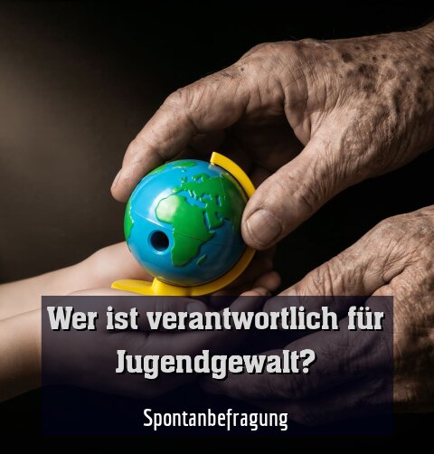 Spontanbefragung