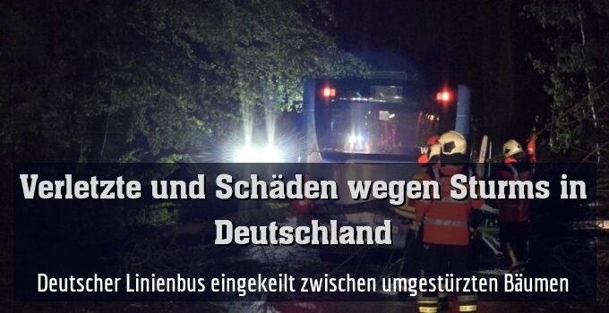 Deutscher Linienbus eingekeilt zwischen umgestürzten Bäumen