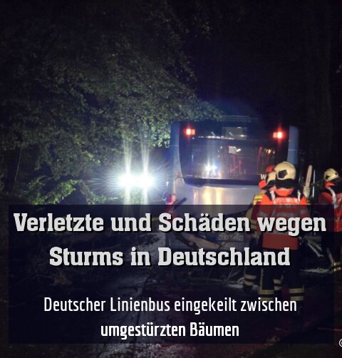Deutscher Linienbus eingekeilt zwischen umgestürzten Bäumen