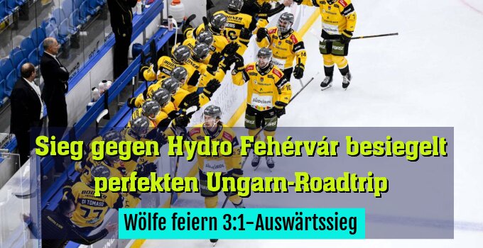 Wölfe feiern 3:1-Auswärtssieg