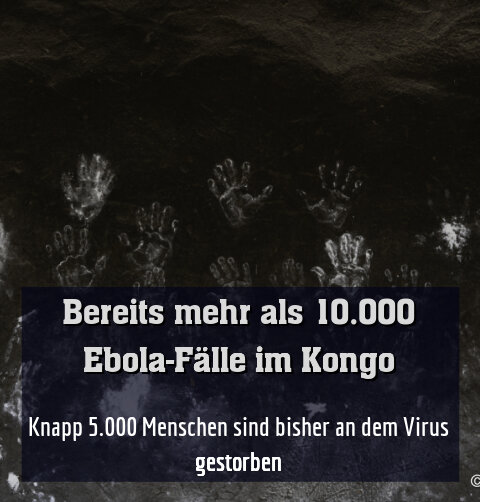 Knapp 5.000 Menschen sind bisher an dem Virus gestorben