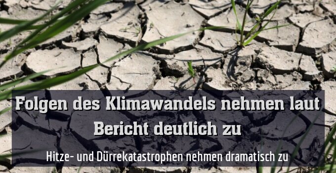 Hitze- und Dürrekatastrophen nehmen dramatisch zu