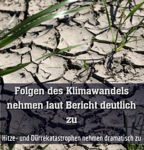 Hitze- und Dürrekatastrophen nehmen dramatisch zu