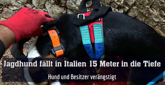 Hund und Besitzer verängstigt