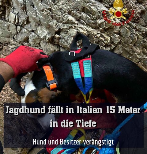 Hund und Besitzer verängstigt