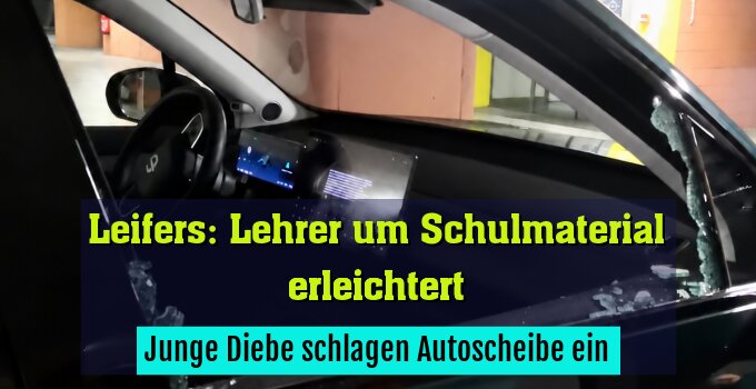 Junge Diebe schlagen Autoscheibe ein