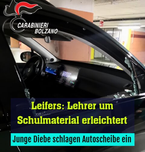 Junge Diebe schlagen Autoscheibe ein